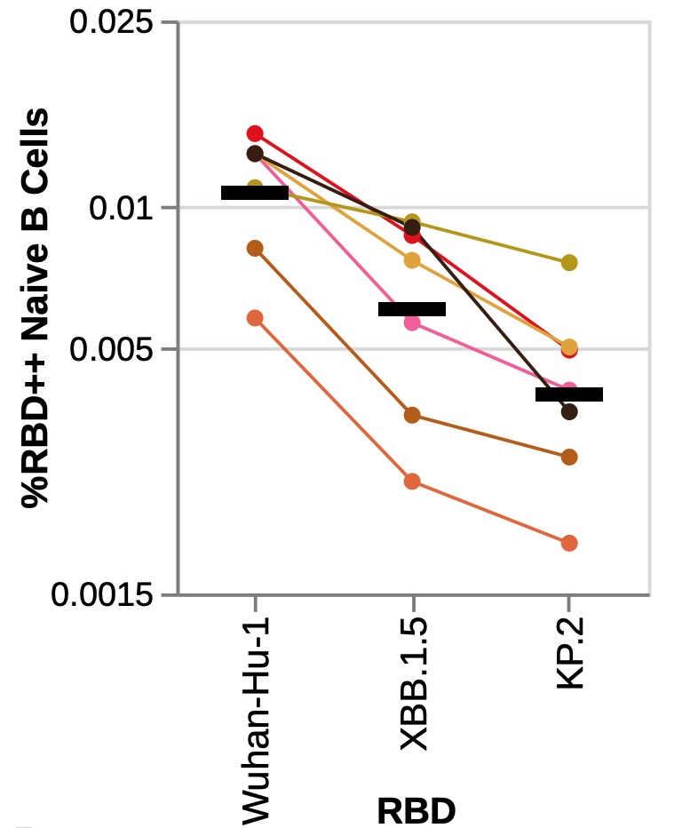 Image for The SARS-CoV-2 spike receptor-binding domain has evolved decreased inherent antigenicity in humans